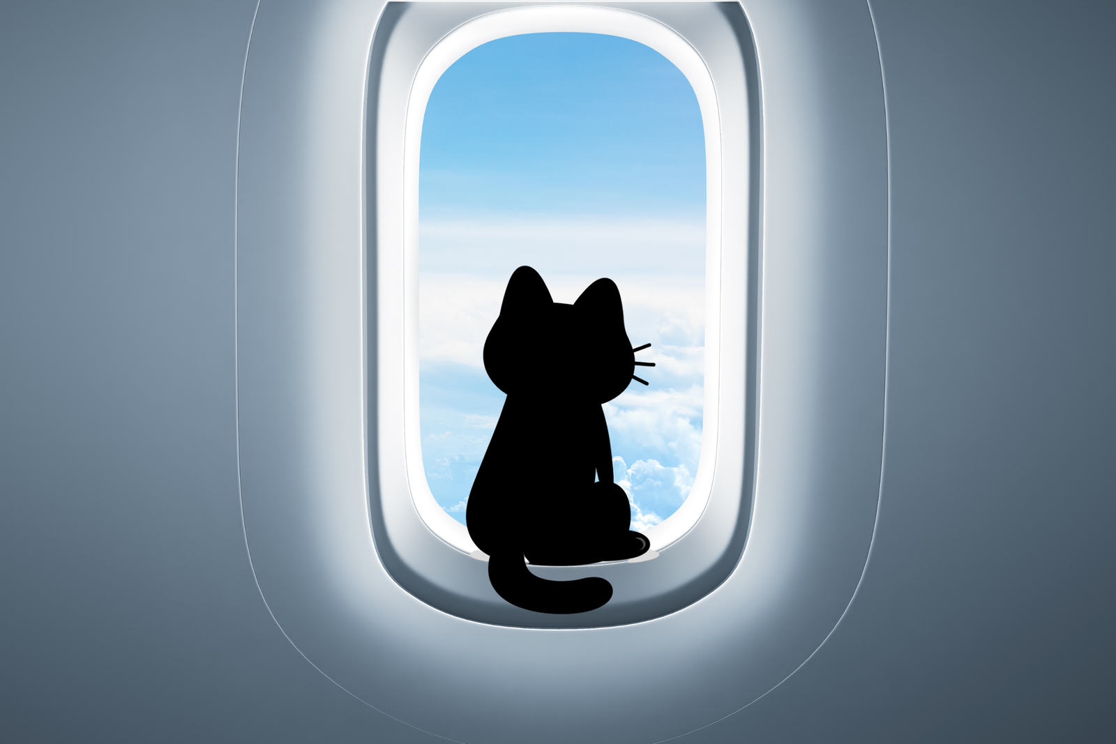 Chat noir qui regarde par le hublot d'un avion