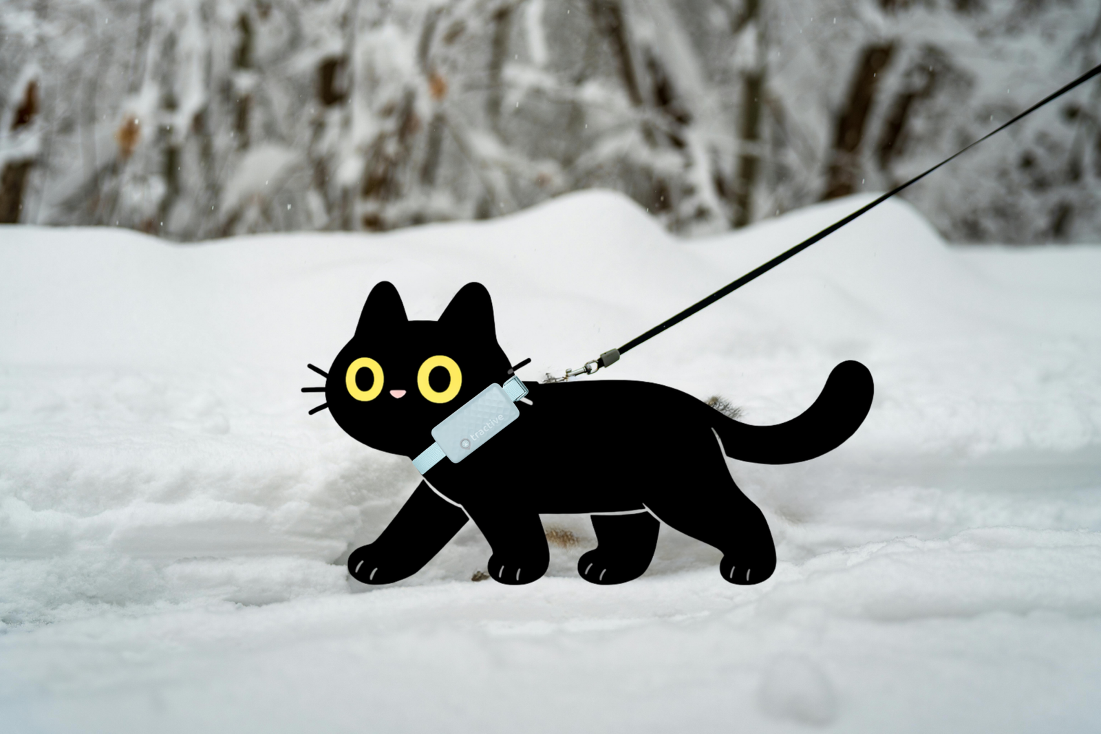 Chat noir illustré avec un traceur GPS sur son collier, qui marche dans la neige en forêt