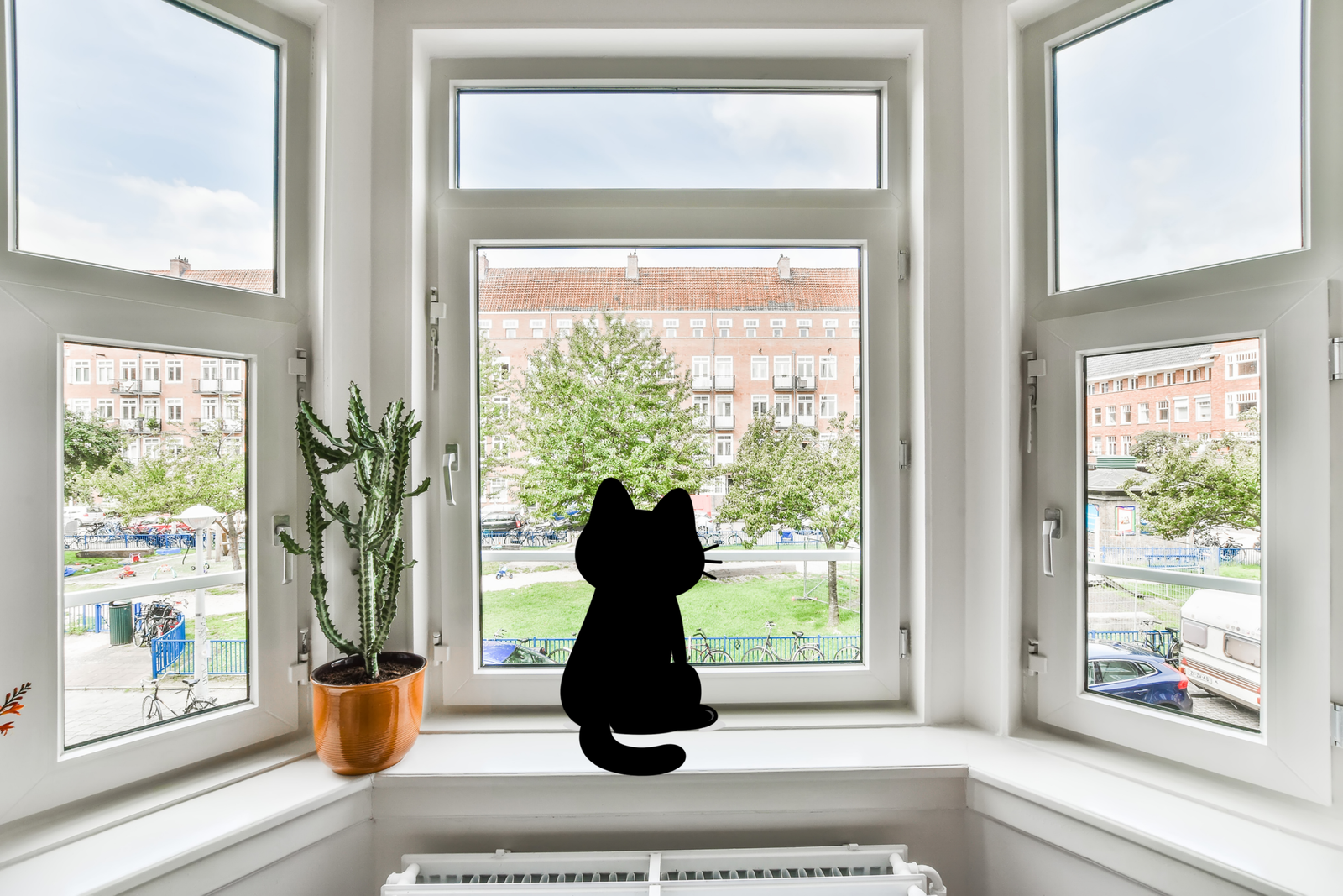 Chat noir de dos qui regarde par la fenêtre