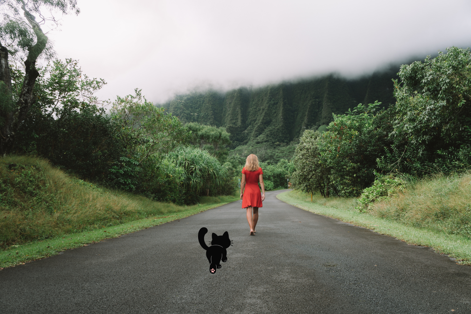 Chat noir illustré qui suit une femme en robe rouge sur une route de montagne, sans laisse
