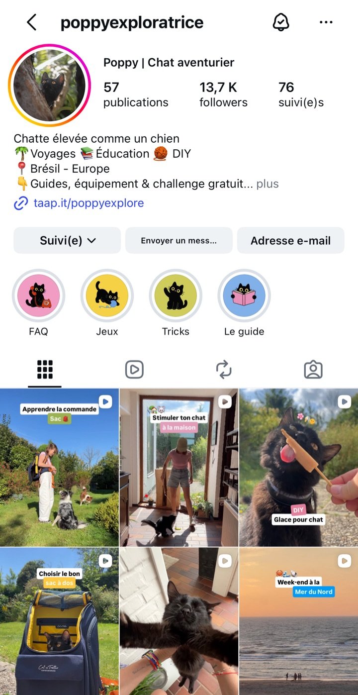 Profil Instagram @poppyexploratrice : 13,7 k abonnés, « Chatte élevée comme un chien »