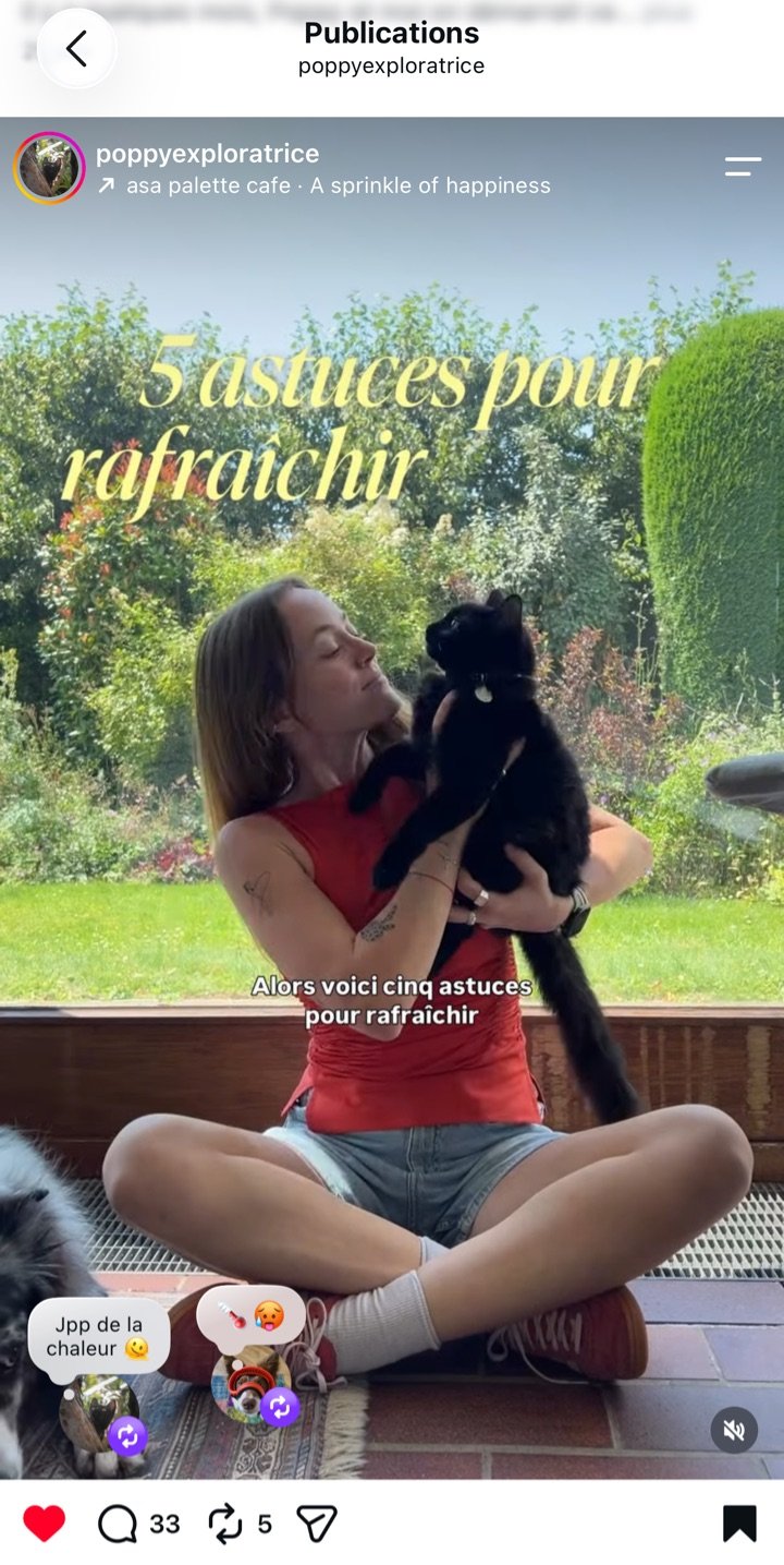 Publication Instagram de Poppy Explore : « 5 astuces pour rafraîchir » son chat