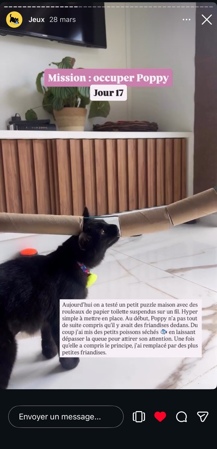 Story Instagram « Mission : occuper Poppy, jour 17 », un jeu fait maison avec des rouleaux de carton